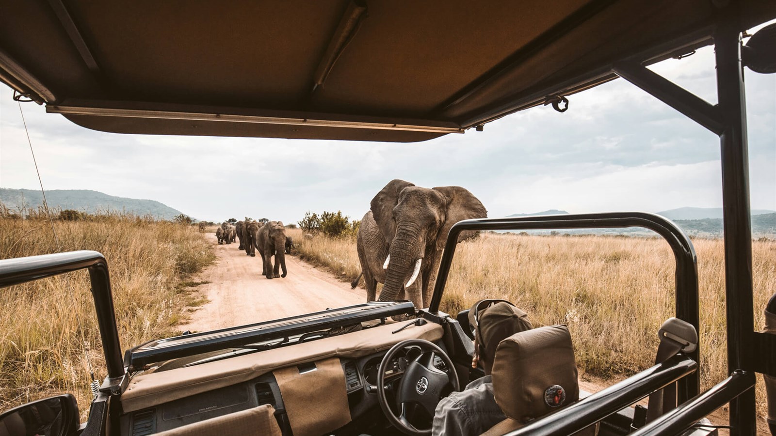 Unforgettable experiences
