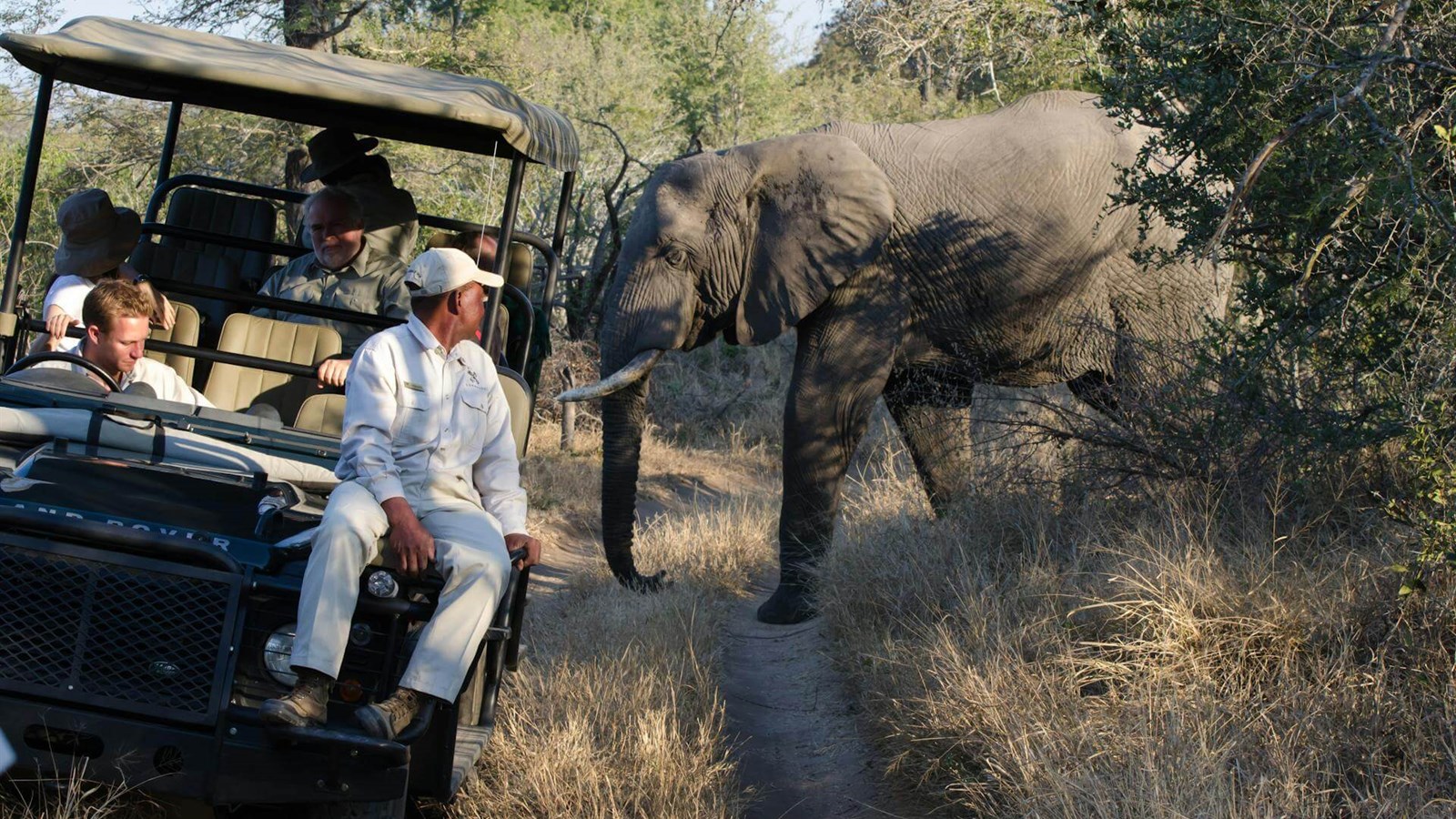 Kruger Park Safaris